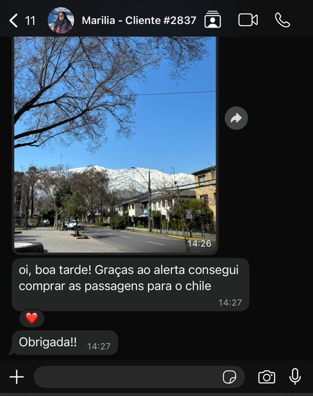 Mensagem de cliente agradecendo pelo alerta de passagem para o Chile